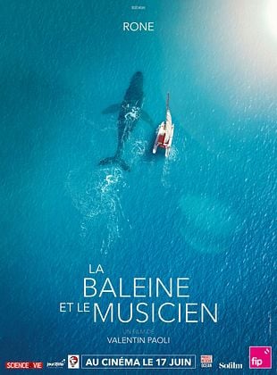 La Baleine et le musicien - affiche du film