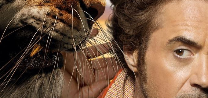 Robert Downey Jr. : « Je suis un homme à chats »
